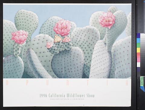 1996 California Wildflower Show