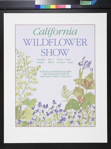 California Wildflower Show